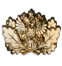 Эмблема петличная Государственная лесная охрана, металл (пара)