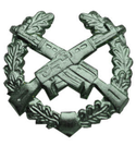 Эмблема петличная Мотострелковые войска, защитная, металл (пара)