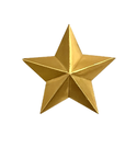 Звезда на погоны 16 мм золотая РЖД (металл)